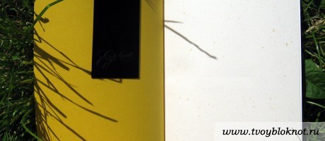 Тетрадь с магнитной закладкой Yellow Clover